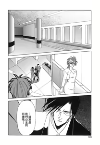 Page 178 of Shakunetsu no Honoo - preview thumbnail