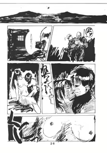 Page 27 of PAPIIT Vol.2 - preview thumbnail