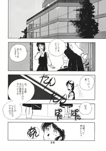 Page 37 of PAPIIT Vol.2 - preview thumbnail