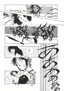 Page 43 of PAPIIT Vol.2 - preview thumbnail