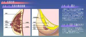 Page 812 of Yureru Bus Guide - Oppai ga Ippai - preview thumbnail