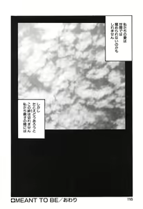 Page 119 of MEANT TO BE - preview thumbnail