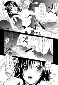 Page 13 of Premium Heart - preview thumbnail