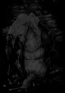 Page 97 of Marunomi no Mori - preview thumbnail