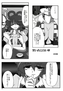 Page 5 of TOHO N+ sei-ka - preview thumbnail