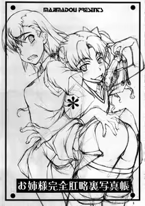 Page 3 of Oneesama Kanzen Kouryaku Photo Album - preview thumbnail