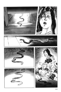 Page 249 of Hanzou no Mon Vol.4 - preview thumbnail