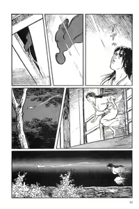 Page 17 of Hanzou no Mon Vol.10 - preview thumbnail