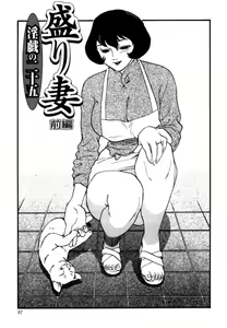 Page 88 of Hitozuma Moyou Saishuushou - preview thumbnail