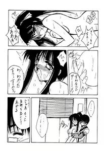 Page 29 of GIIII - preview thumbnail