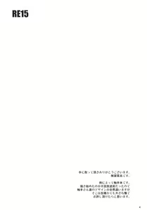 Page 4 of RE15 - preview thumbnail