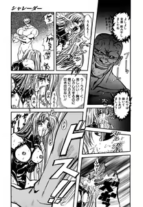 Page 13 of SHALADER Vol.01 - preview thumbnail