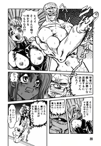 Page 20 of SHALADER Vol.01 - preview thumbnail