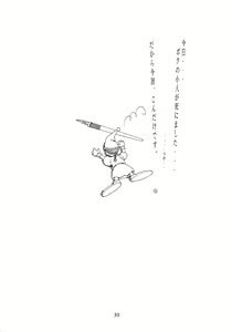 Page 29 of WIEGE 3 - preview thumbnail