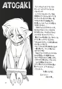 Page 54 of Tokonatsu Neko Nikki - preview thumbnail