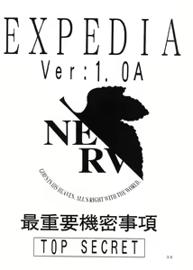 Page 29 of EXPEDIA Ver. 1.0A - preview thumbnail