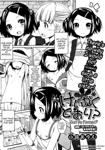 Keikaku Doori? | Just As Planned? — hentai manga cover on Fhentai