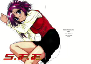 S.F.F Vol.2 — hentai manga cover on Fhentai