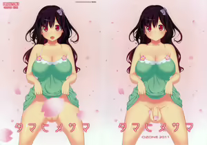 Tamahime-sama — hentai manga cover on Fhentai