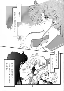 Page 6 of Rose Water 3 Rose Window - preview thumbnail