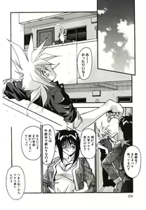 Page 276 of Etsuraku no Nikutsubo - preview thumbnail