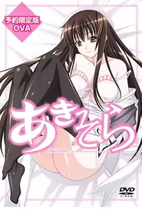 Aki Sora OVA — hentai manga cover on Fhentai