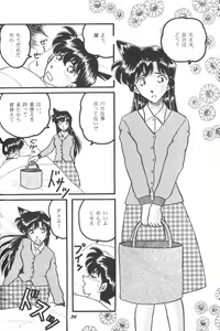 Page 33 of HOHETO 23 - preview thumbnail