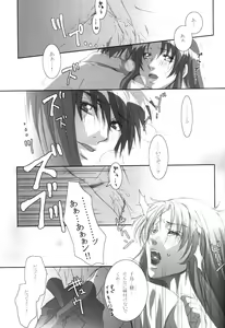Page 14 of Anjel Seven A7 - preview thumbnail