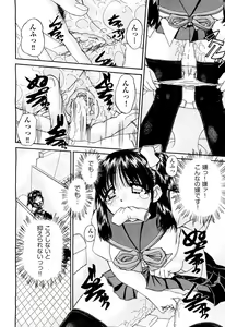 Page 508 of COMIC Aun 2012-03 - preview thumbnail