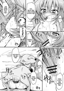 Page 16 of Cirno Dai Pinch! ~Kaeru no Fukushuu Hen~ | 치르노 대위기! ~개구리의 복수편~ - preview thumbnail