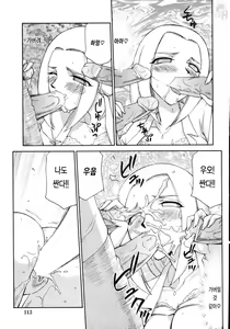 Page 116 of Type H - preview thumbnail