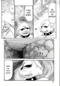 Page 41 of Type H - preview thumbnail