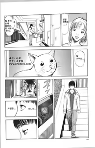 Page 138 of Itoko -Cousin- - preview thumbnail