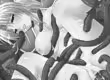Page 23 of Kutsujoku no Valkyrie - preview thumbnail