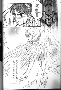 Page 17 of T.C. Libra - preview thumbnail