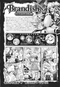 Brandish 5 Ch. 26-30, Extra 3 — hentai manga cover on Fhentai