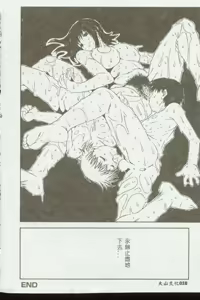 Page 17 of Kinbo Inkan VI - preview thumbnail