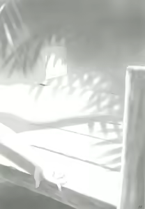 Page 47 of SANCTUARY - preview thumbnail