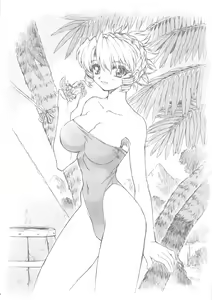 Page 33 of Sengashuu 01 - preview thumbnail
