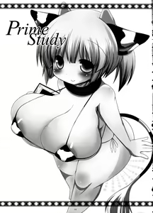 Page 3 of Prime Study - preview thumbnail