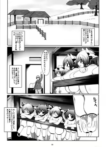 Page 5 of Prime Study - preview thumbnail
