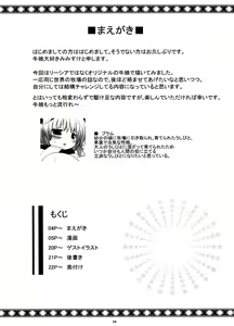 Page 4 of Prime Study - preview thumbnail