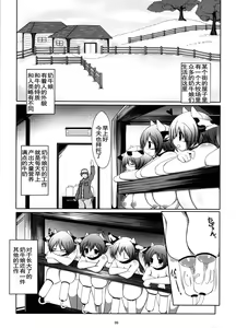 Page 5 of Prime Study - preview thumbnail