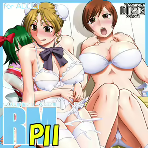 Page 2 of RM PII - preview thumbnail