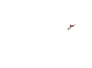 Page 342 of SakiQue - preview thumbnail