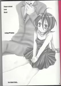 Page 4 of SLR - preview thumbnail