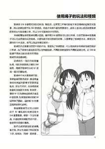 Page 76 of SM Guide Traditional Chinese Edition v20120208 - preview thumbnail