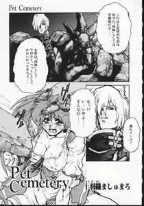 Masyumaro Jyubaori - Pet Cemetry — hentai manga cover on Fhentai