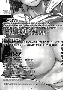 Page 17 of Angel's stroke 60 Hibino no Hon 2 - preview thumbnail