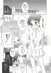 Page 20 of Iinari - preview thumbnail